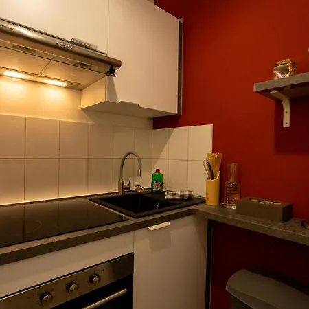 شقة L'oasis - T2 Ambiance Cactus Et Confort Moderne