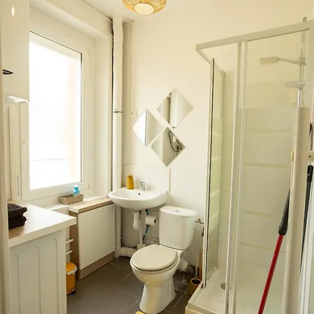 L'oasis - T2 Ambiance Cactus Et Confort Moderne