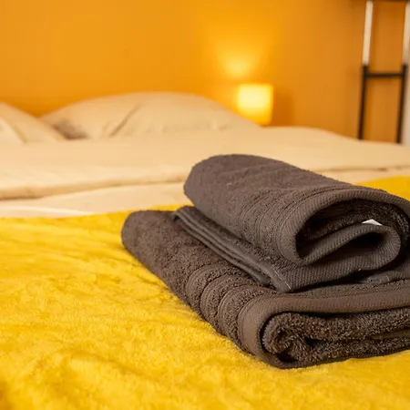 L'oasis - T2 Ambiance Cactus Et Confort Moderne شقة