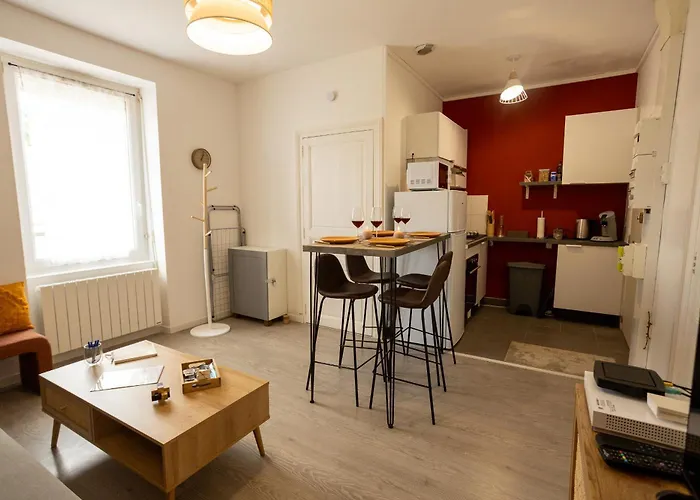 L'oasis - T2 Ambiance Cactus Et Confort Moderne