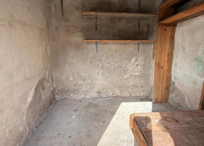 Apartmán L'oasis - T2 Ambiance Cactus Et Confort Moderne *